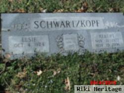 Albert Schwartzkopf