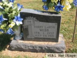 Terry Laron Webb