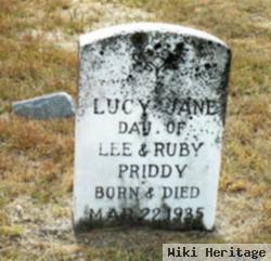 Lucy Jane Priddy