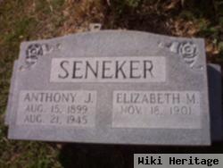 Elizabeth M. Seneker