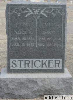 Alice A. Montgomery Stricker