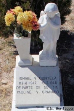 Ismael V Quintela
