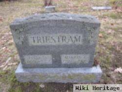 Peter A Triestram