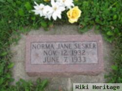 Norma Jane Sesker