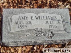 Amy E. Williams