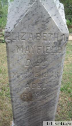 Elizabeth Ann Holloman Mayfield