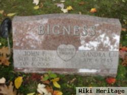 John Francis Bigness, Sr