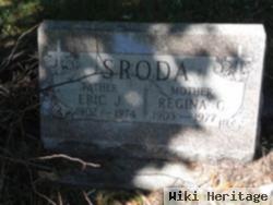 Eric J Sroda