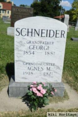 Agnes M Schneider