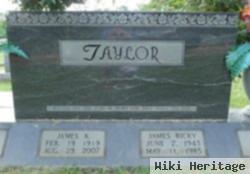 James K Taylor