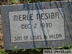 Merle Nesiba