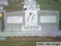 Lester Elmer Lloyd