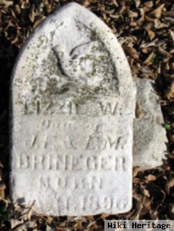 Lizzie W. Brineger