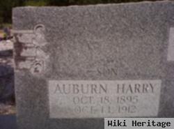 Auburn Harry Goggin