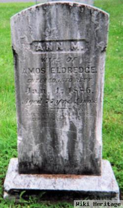 Ann M Eldredge
