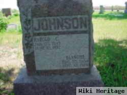 Harold C Johnson