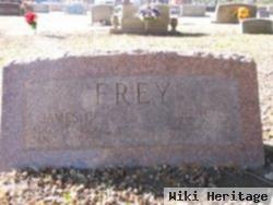 Irene L Frey