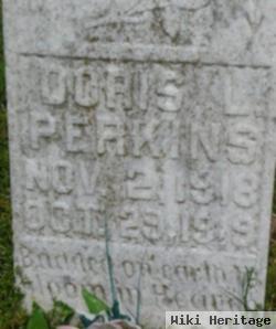 Doris L. Perkins