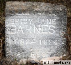 Spicy Jane Barnes