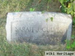 Sarah J Culver