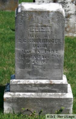 Elizabeth Steiger Sneeringer