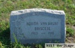 Norma Van Brunt Briscese