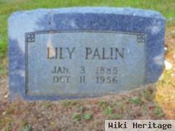 Lily Derbyshire Palin