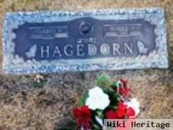 Harry Willard Hagedorn