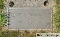 Stephen M Wallmark