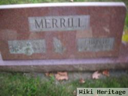 Vera N. Merrill