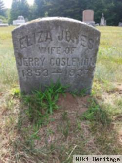 Eliza Jones Cosleman