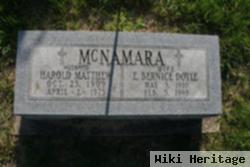 Harold Matthew Mcnamara