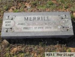 Margaret Ann Gobbell Merrill