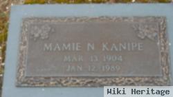 Mamie Wren Nelson Kanipe