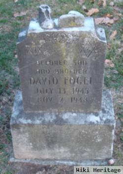 David Fogel