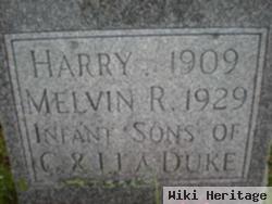 Harry La Duke