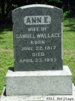 Ann E Wallace