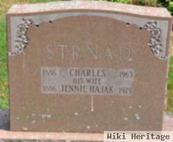 Charles Strnad