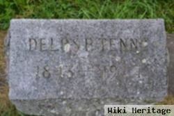 Delos Perkins Tenney