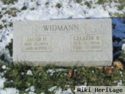 Jacob H. Widmann