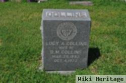 Lucy A. Collins