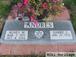 Agnes Marie Ziola Andres