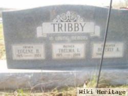 Eugene H Tribby