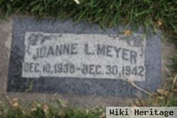 Joanne L Meyer