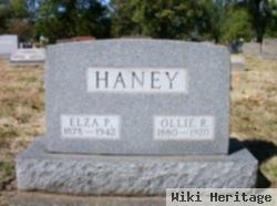 Elza Porter Haney