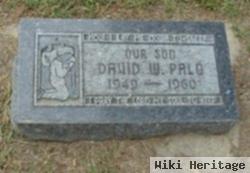 David W Palo