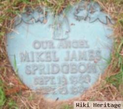 Mikel James Spridgeon