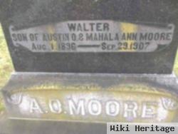 Walter Moore