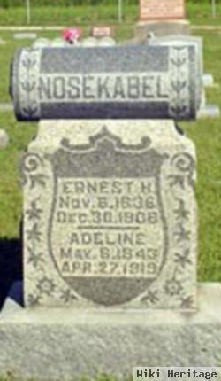 Ernst Henry Nosekabel