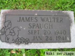 James Walter Spaugh